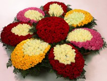 1001 roses 