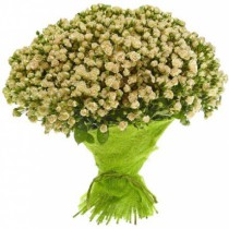 Bouquet of 101 cream spray roses