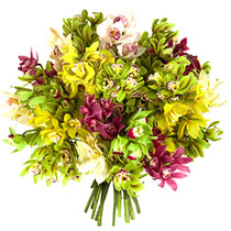 Bouquet of orchids