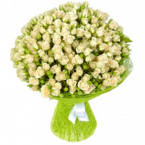 Bouquet of 51 cream spray roses