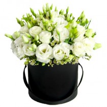 White eustoma box