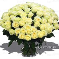 Special offer - 101 white roses.