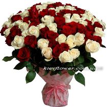 101 Dutch Roses