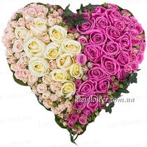Heart 