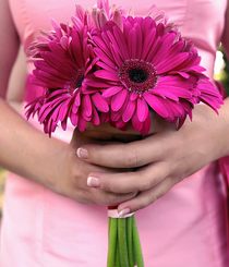 Bridal bouquet of gerberas #21