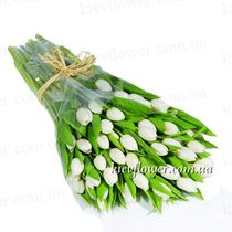 Bouquet of 51 white tulips