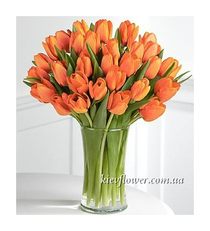 Bouquet of 31 orange tulips