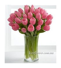 Bouquet of 35 pink tulips