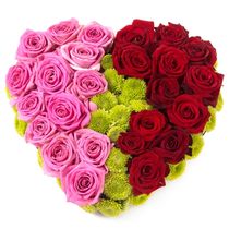 Heart 