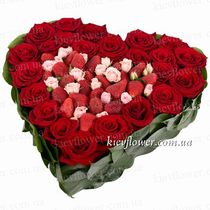 Heart 