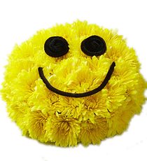 Camomile smile