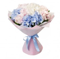 Hydrangea in a bouquet